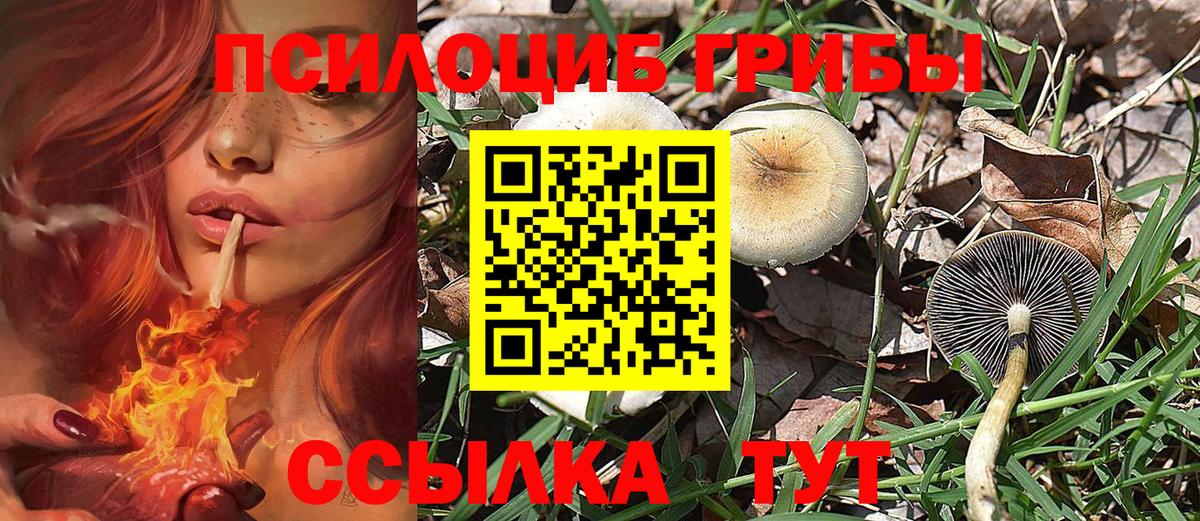 Гулькевичи  Галлюциногенные грибы ЛСД  Псилоцибиновые грибы MAGIC MUSHROOMS  Вход с VPN 